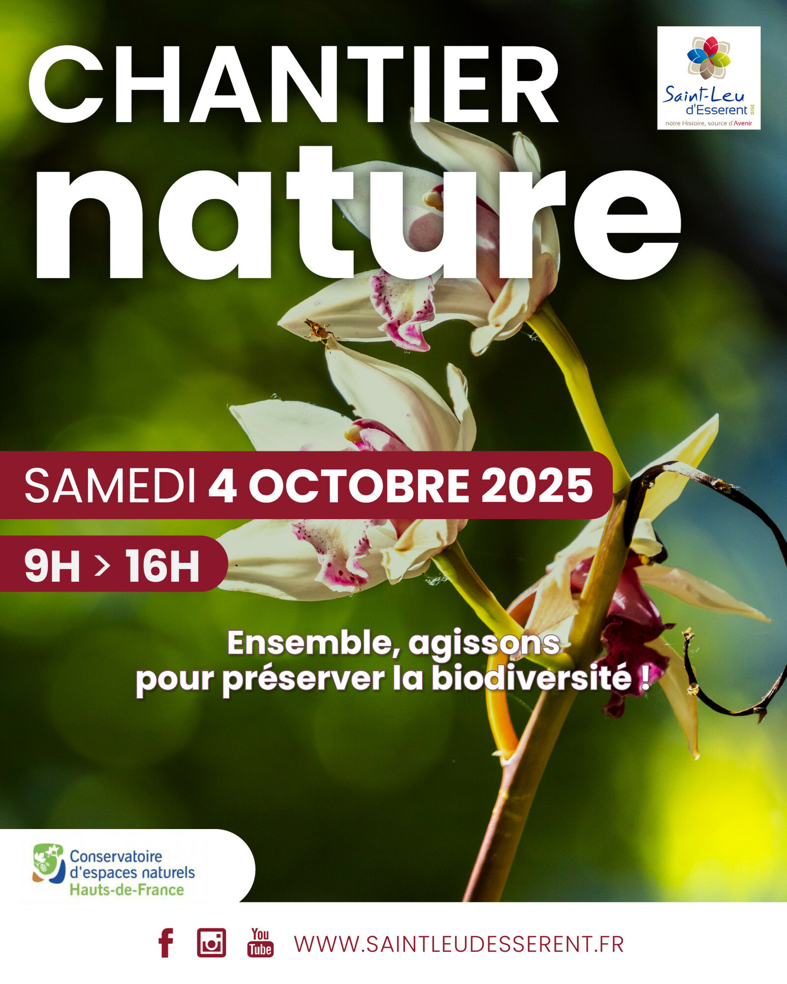 visuel chantier nature